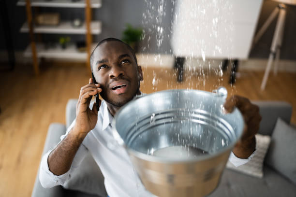  Reed Creek, GA Water damage restoration Pros