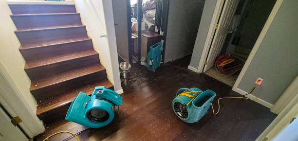 Trusted Reed Creek, GA Water damage restoration Experts