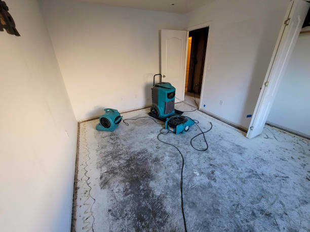 Best Water damage restoration near me  in Reed Creek, GA
