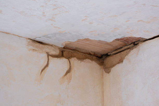Trusted Reed Creek, GA Water damage restoration Experts