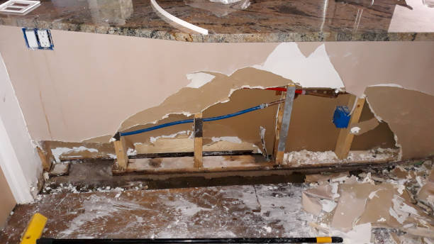 Best Fire Damage Restoration  in Reed Creek, GA
