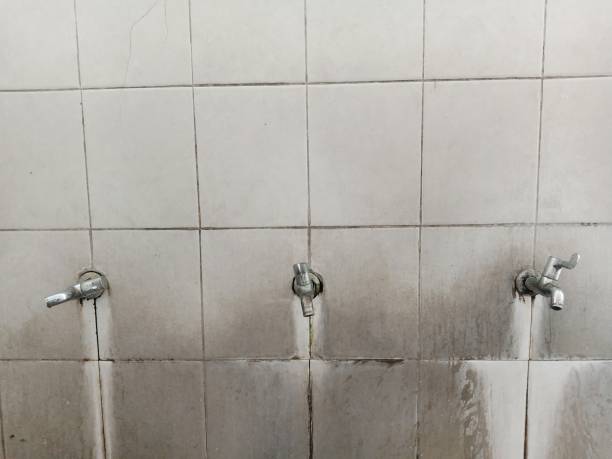 Best Water damage restoration services  in Reed Creek, GA