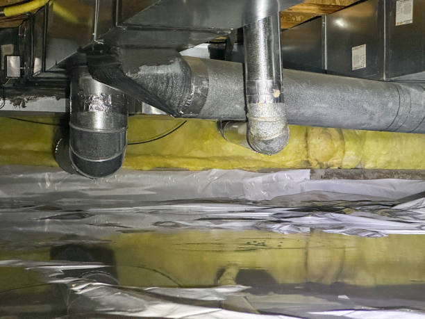 Best Water damage restoration cost  in Reed Creek, GA