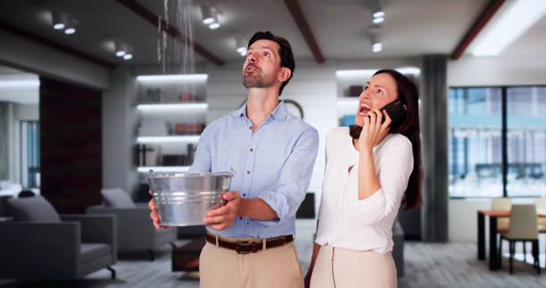 Best 24-hour water damage restoration  in Reed Creek, GA