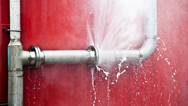 Best Flooded house restoration  in Reed Creek, GA